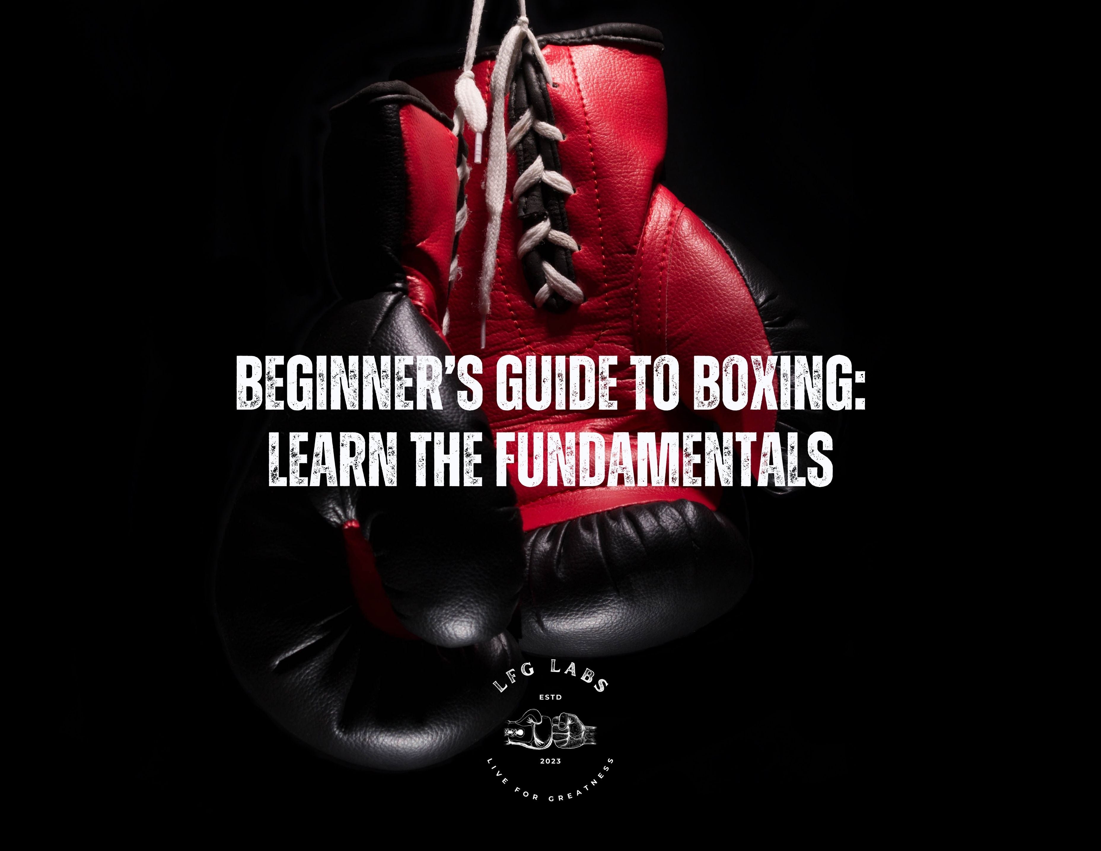 Beginner's guide to boxing: learn the fundamentals | LFG Labs
