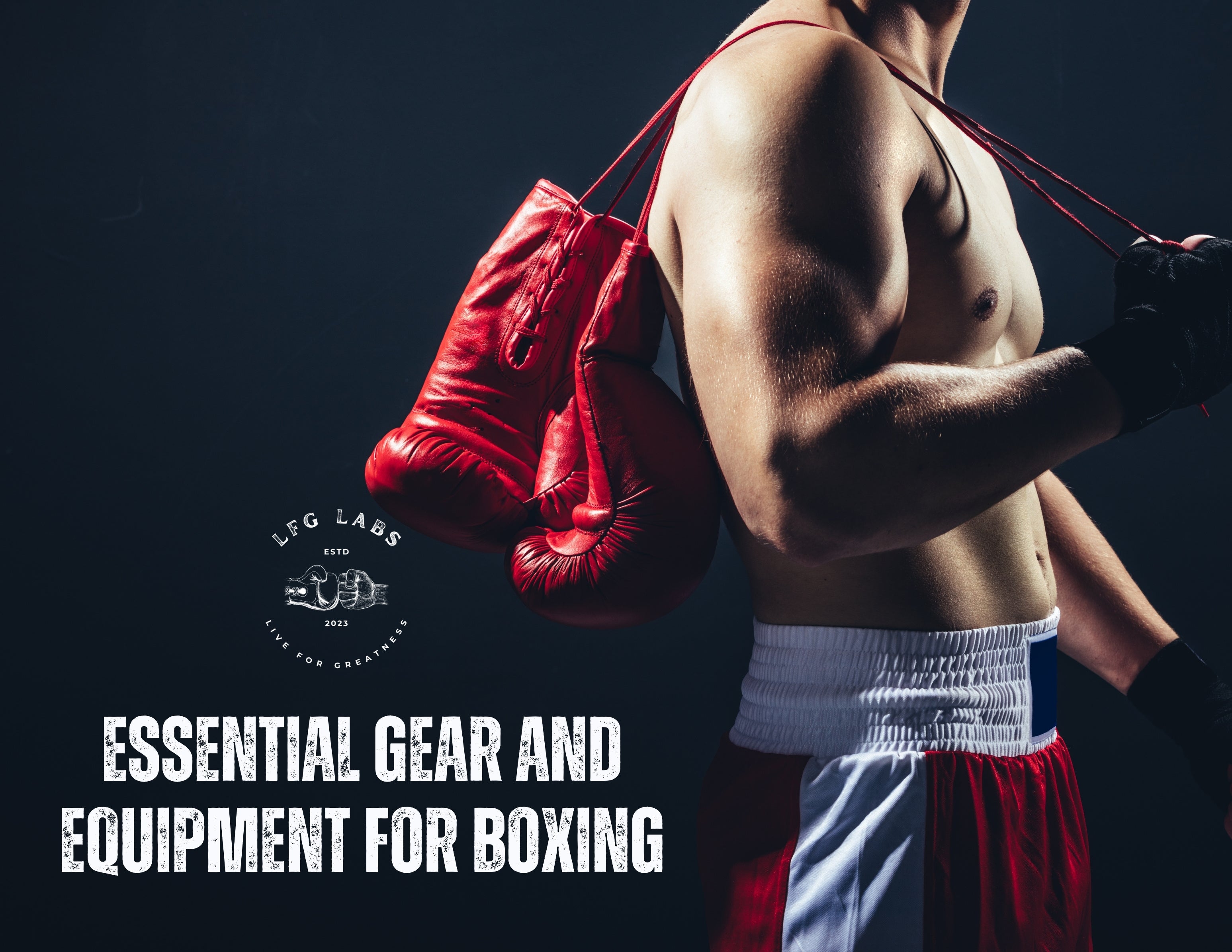 Essential boxing gear on sale