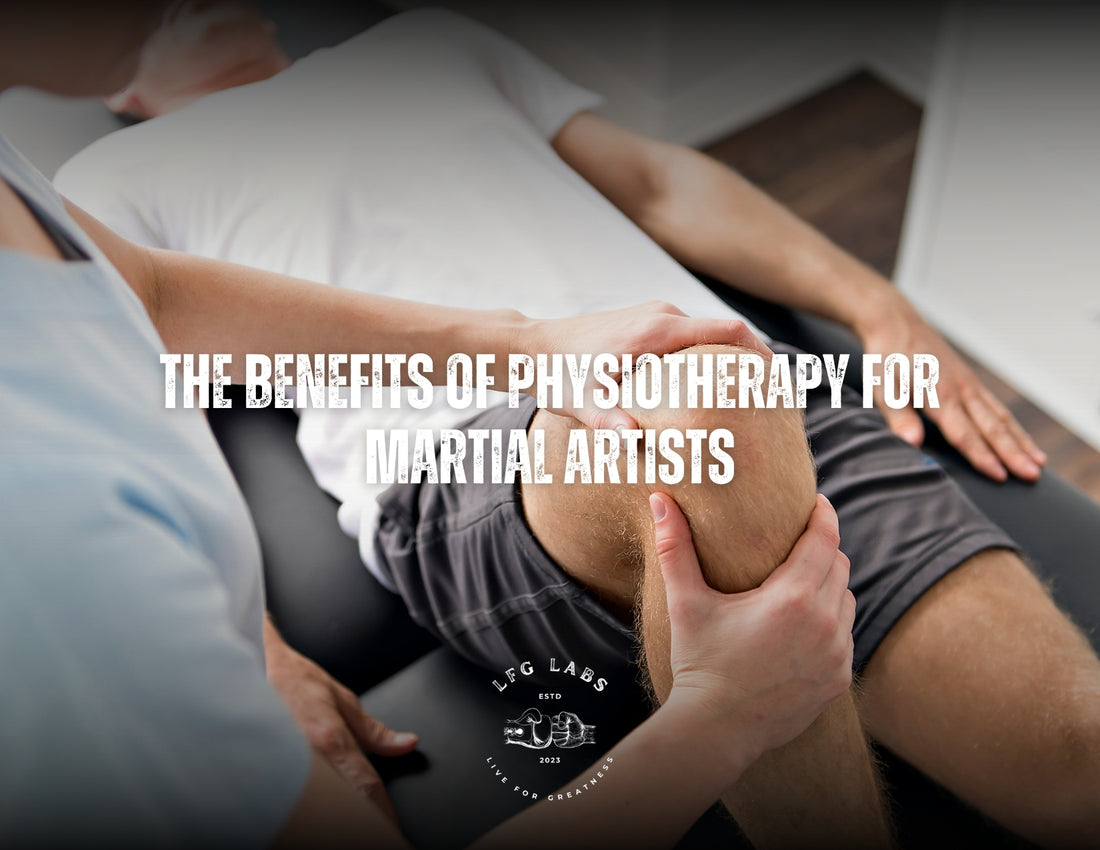 The Benefits of Physiotherapy for Martial Artists