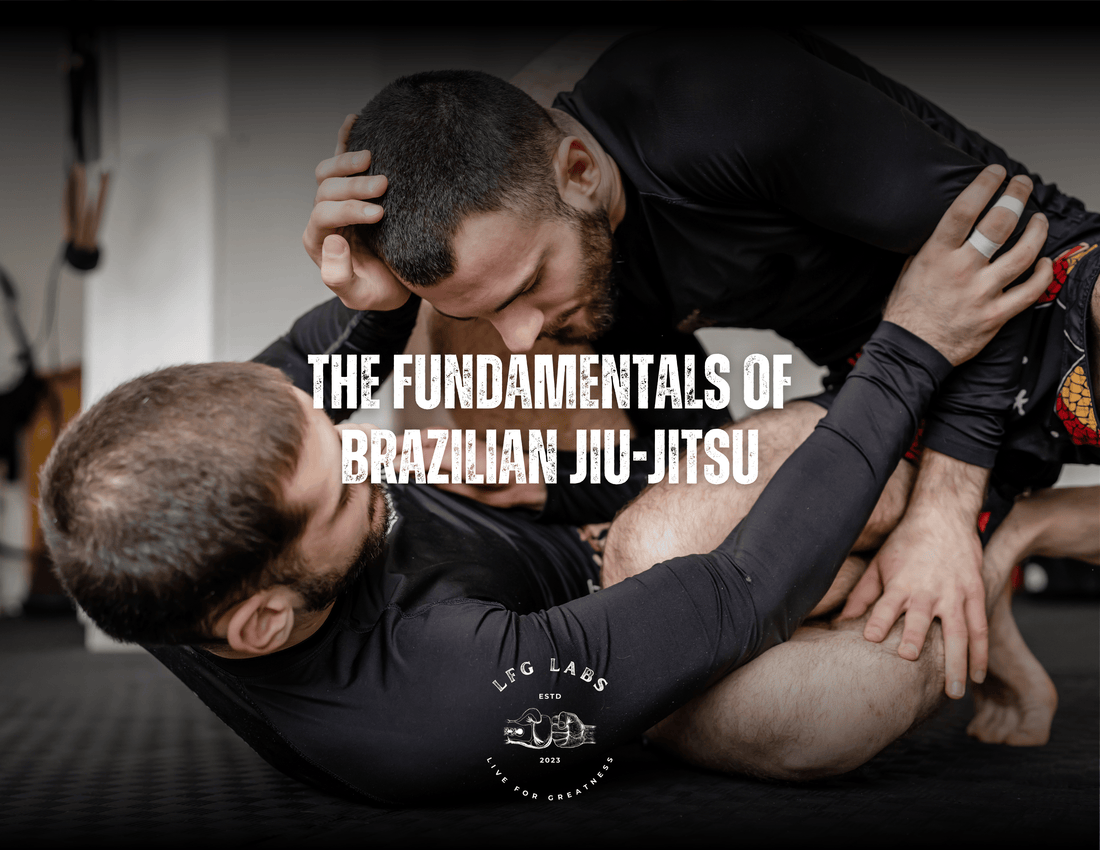 The Fundamentals of BJJ